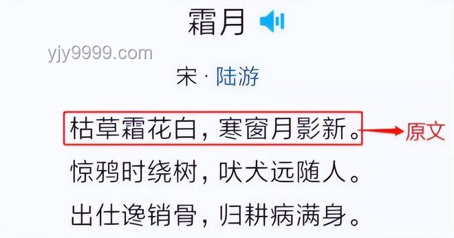 如何看待美国识字率仅79%：一次跨文化的深度思考📚